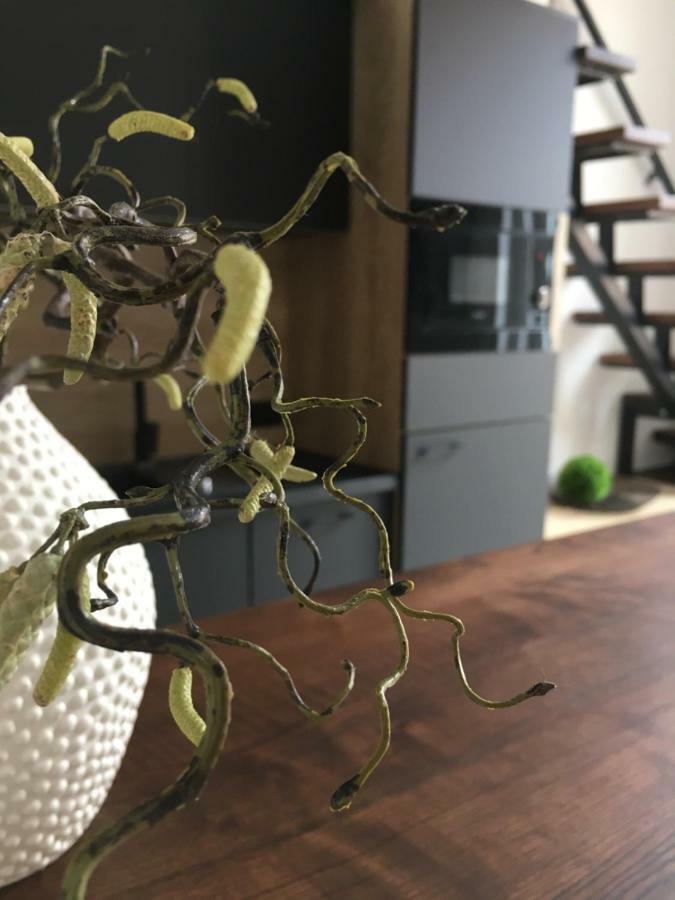 Goodmood Apartment Debrecen Esterno foto